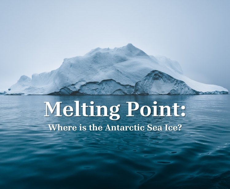 Alternative Antarctic Ice Title image