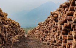 Image - Lumber