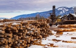Image - Lumber in Canada